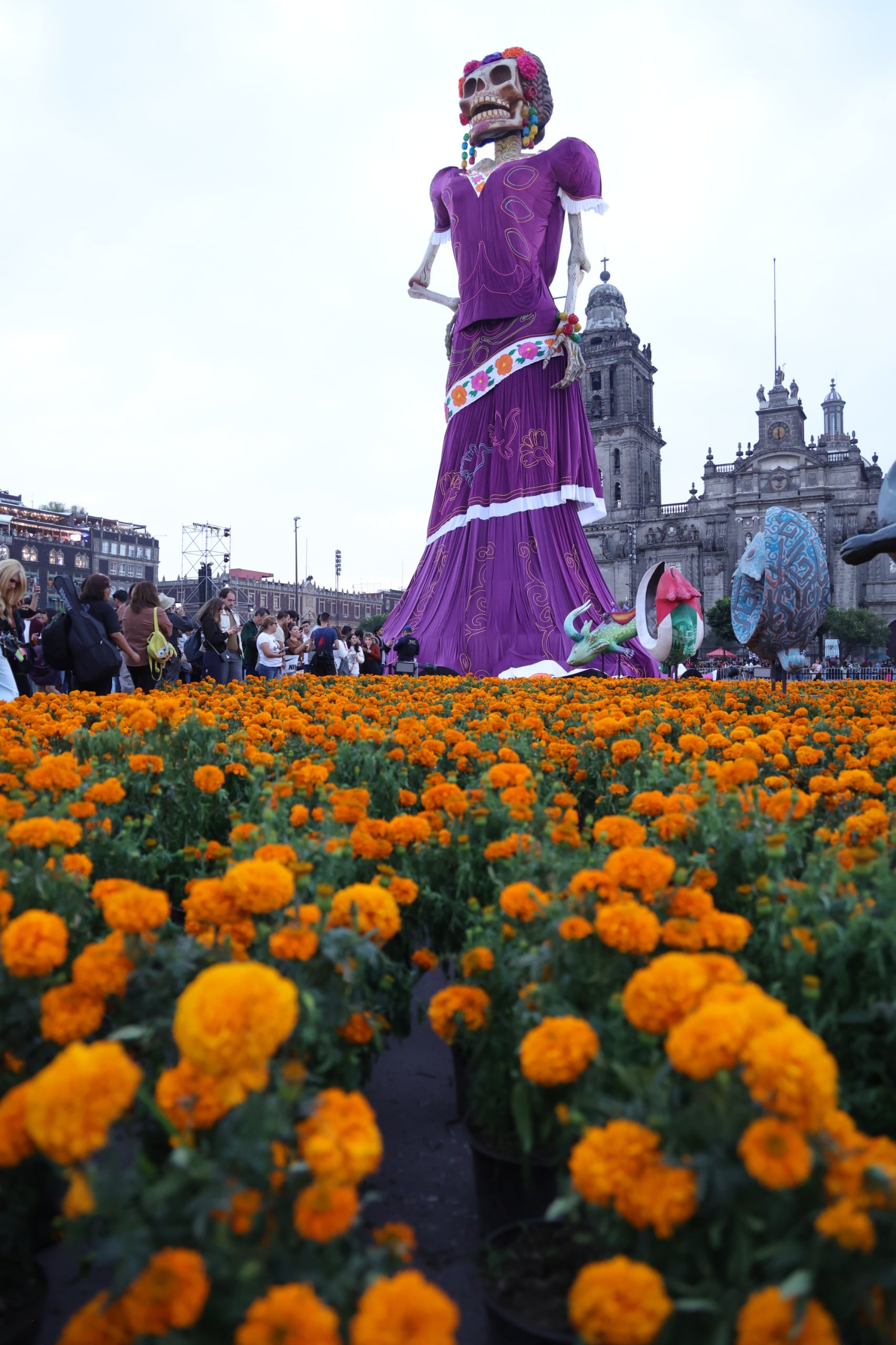 Una figura monumental de calavera vestida de morado se erige frente a la Catedral Metropolitana en el Zócalo de la Ciudad de México rodeada por flores de cempasúchil y visitantes. (Gobierno CDMX)