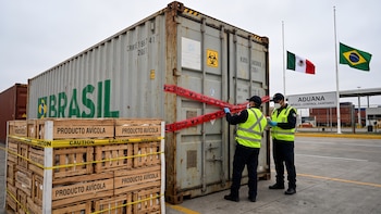 México suspende importaciones avícolas de Brasil por brote viral: estos productos quedan restringidos