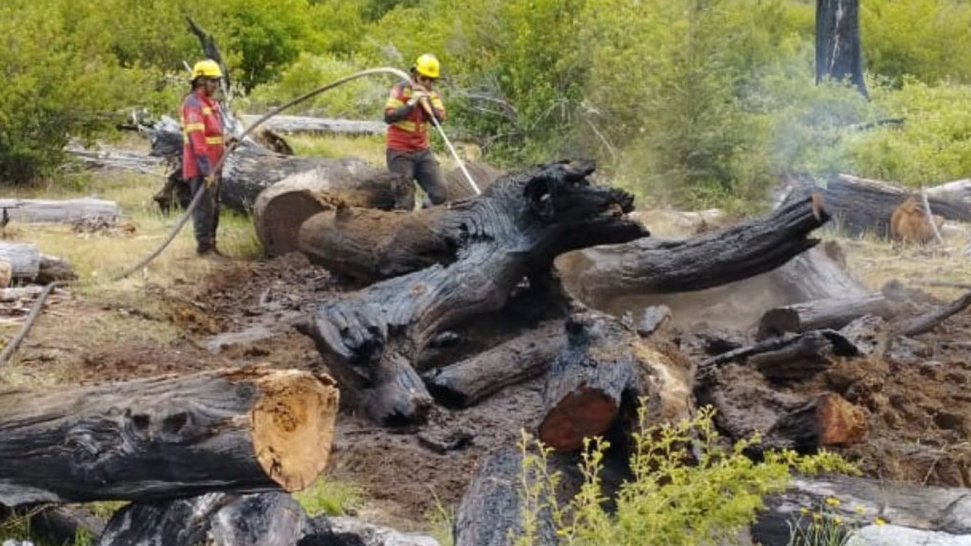 (@manejodelfuegochubut)