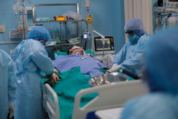 Según los nuevos estudios, las