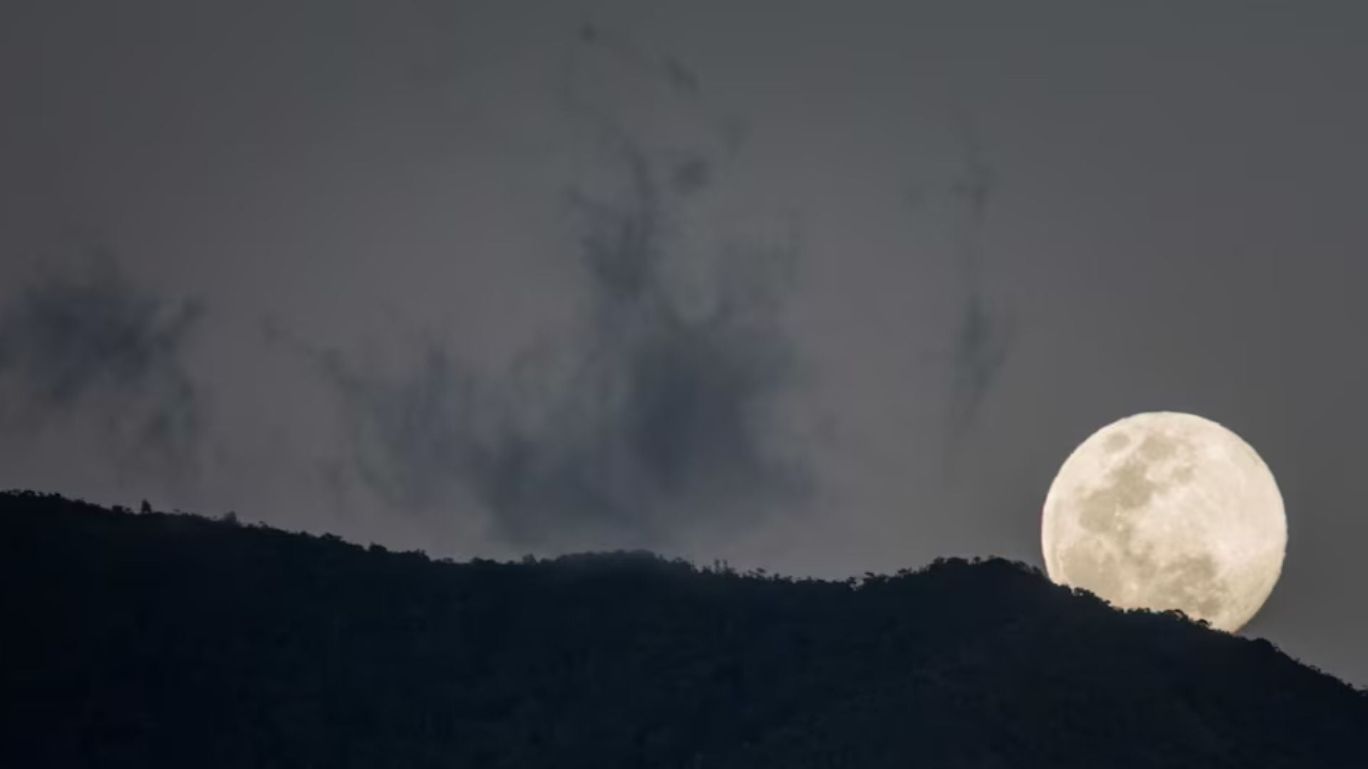 Los expertos recomiendan buscar espacios abiertos y alejados de luces artificiales para apreciar mejor los espectáculos astronómicos - Créditos: EFE.