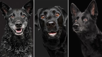 "Sólo tenés que asegurarte de