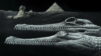 Un equipo identifica en Egipto una especie extinta de cocodrilo de hace 45 millones de años