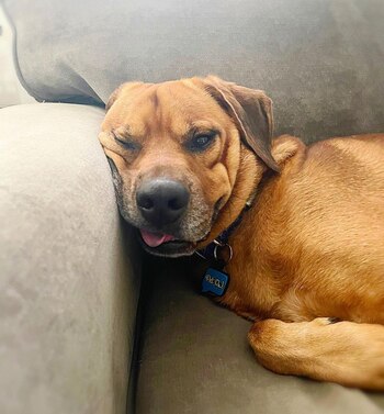 Myko tiene muchos seguidores en