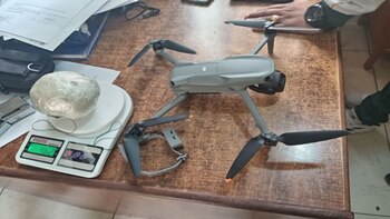 Al inspeccionar el contenido, se