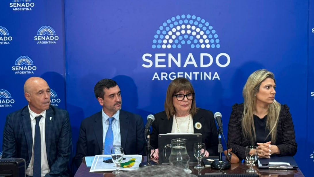 Bullrich dijo que acordó con aliados un límite de 25% para la venta de tierras, pero aún hay dudas con los votos