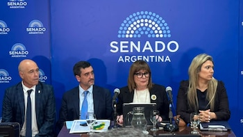 Bullrich dijo que acordó con aliados un límite de 25% para la venta de tierras, pero aún hay dudas con los votos