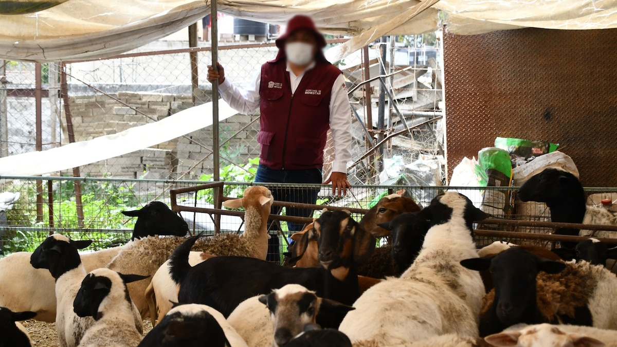 Este es el excesivo aumento que imponía el crimen organizado en el Edomex a productos básicos - Infobae