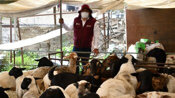 Este es el excesivo aumento