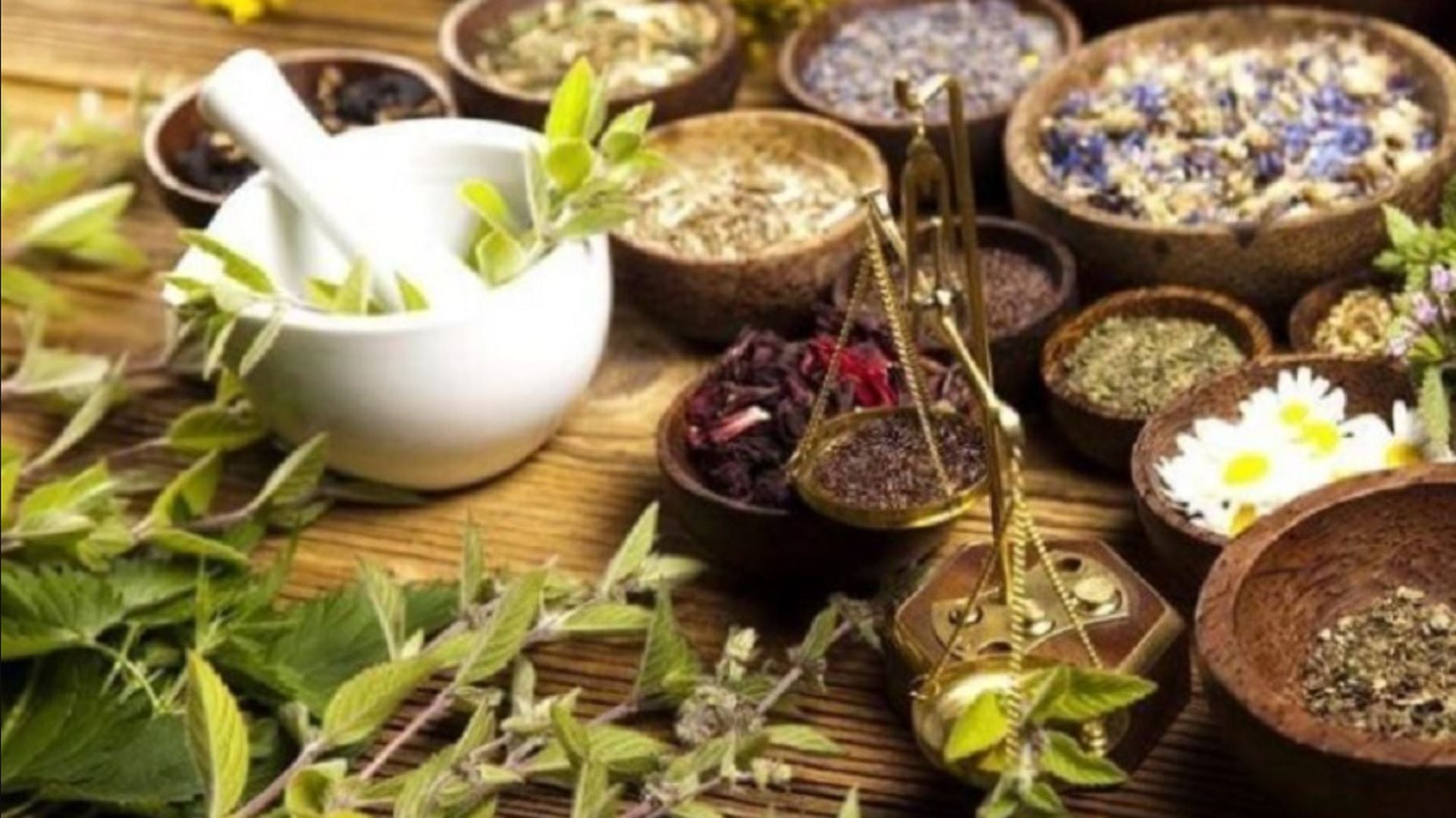 El eucalipto acompaña la sabiduría ancestral de pueblos que lo usaron por siglos. Hoy, mercados y boticas lo ofrecen como aliado contra el dolor y la inflamación muscular o articular. (Andina)