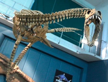 El Museo Argentino de Ciencias