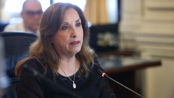 Distintos parlamentarios anunciaron que apoyarían