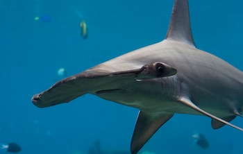 El Ministerio de la Producción