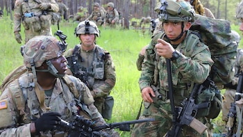 El autor sostiene que es