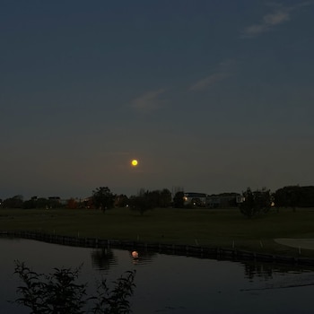 Vista nocturna de una luna amarilla brillante sobre un lago oscuro que refleja su luz; al fondo, un campo de hierba y edificios con luces