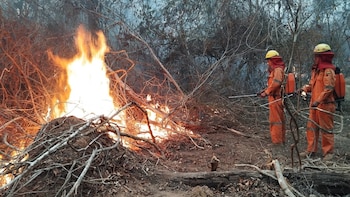 Bomberos y expertos de Uruguay