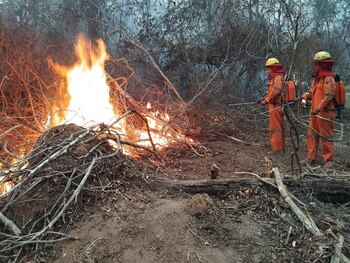 Bomberos trabajan en San Ignacio