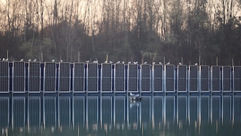 Paneles solares verticales