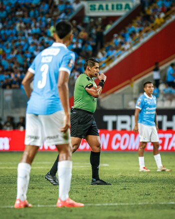 El trabajo del árbitro Michael