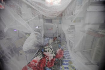 Los expertos encontraron que los