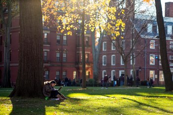 Una estudiante lee bajo un
