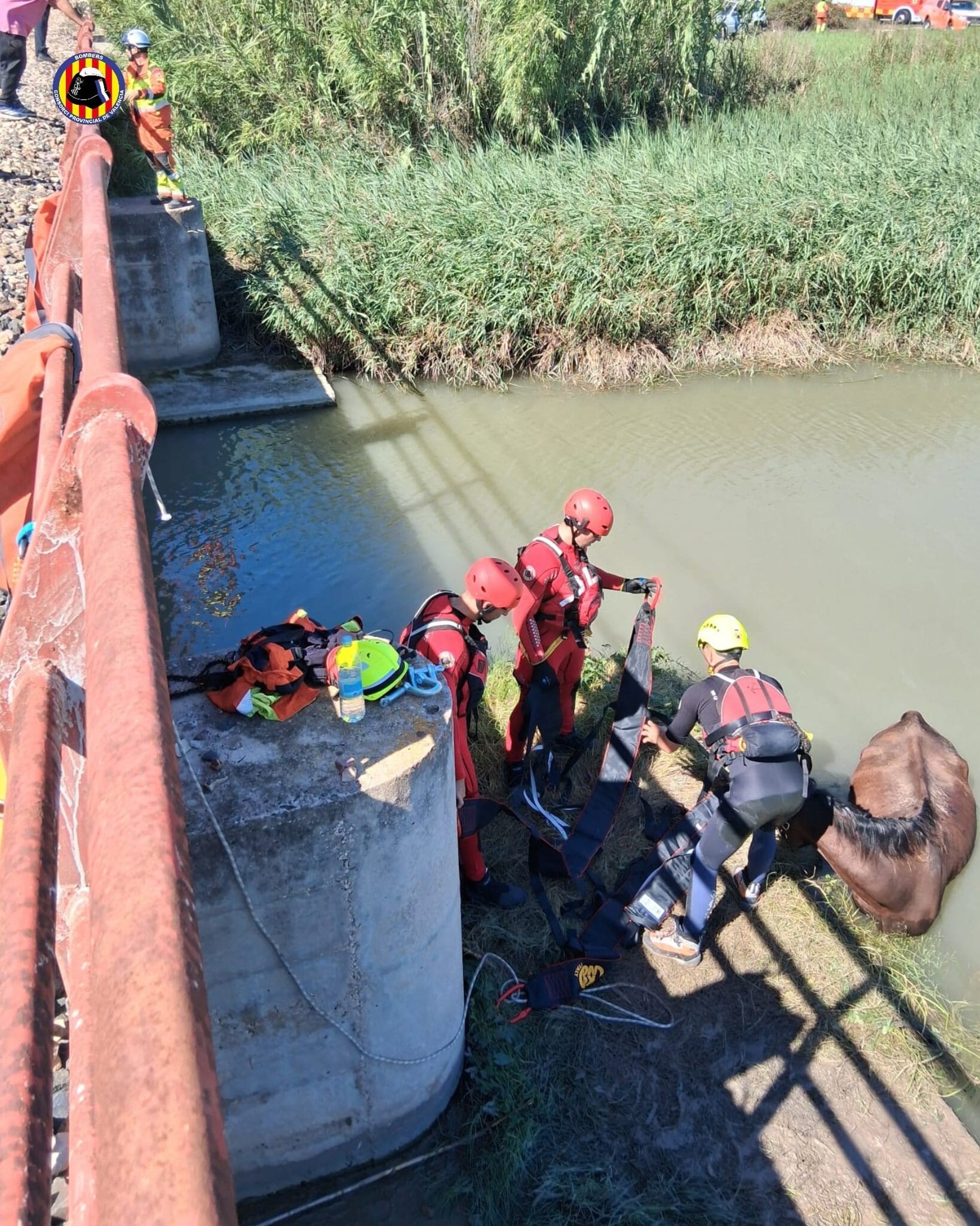 13/09/2026 Rescate del caballo
POLITICA
CONSORCIO DE BOMBEROS