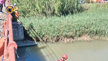 Bomberos rescatan a un caballo hallado dentro del estanque en la zona del Brosquil