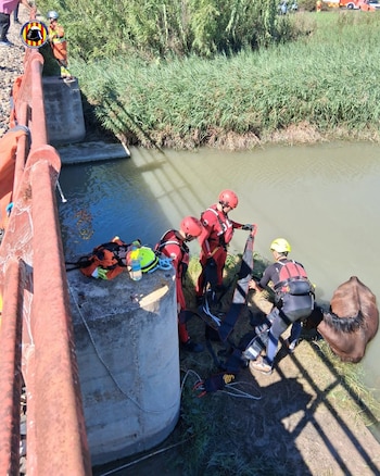 13/09/2026 Rescate del caballo
POLITICA
CONSORCIO DE BOMBEROS
