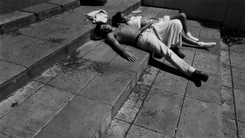 (Foto de Sara Facio. Gentileza