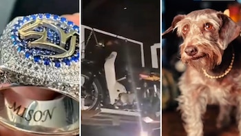 Este era el multimillonario patrimonio de alias Mison, cabecilla de Los Maracuchos en Bogotá: le compró joyas de oro a su perro