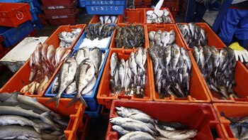 Precio del pescado sube en mercados de Lima por oleajes anómalos