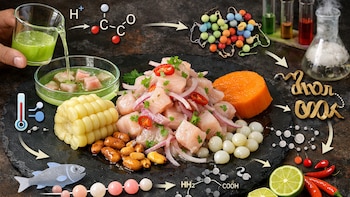 El secreto científico del ceviche: por qué el limón transforma el pescado sin cocinarlo, según una especialista en bioingeniería