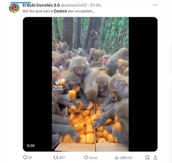 Los mejores memes que dejó