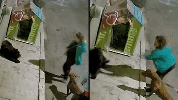 Cámaras de seguridad captaron el