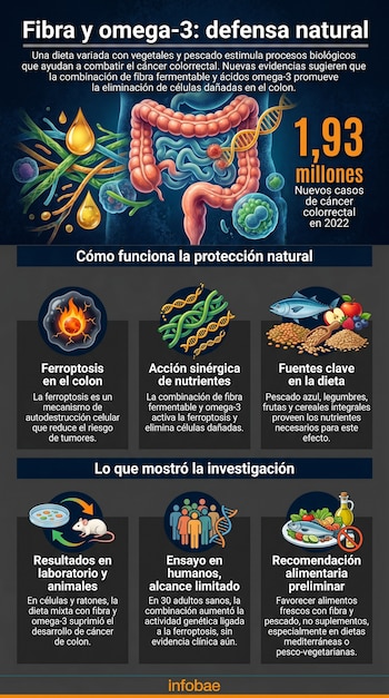 Infografía que muestra el sistema digestivo humano, células, ADN, gotas de aceite, y alimentos como pescado y legumbres, explicando la prevención del cáncer de colon.