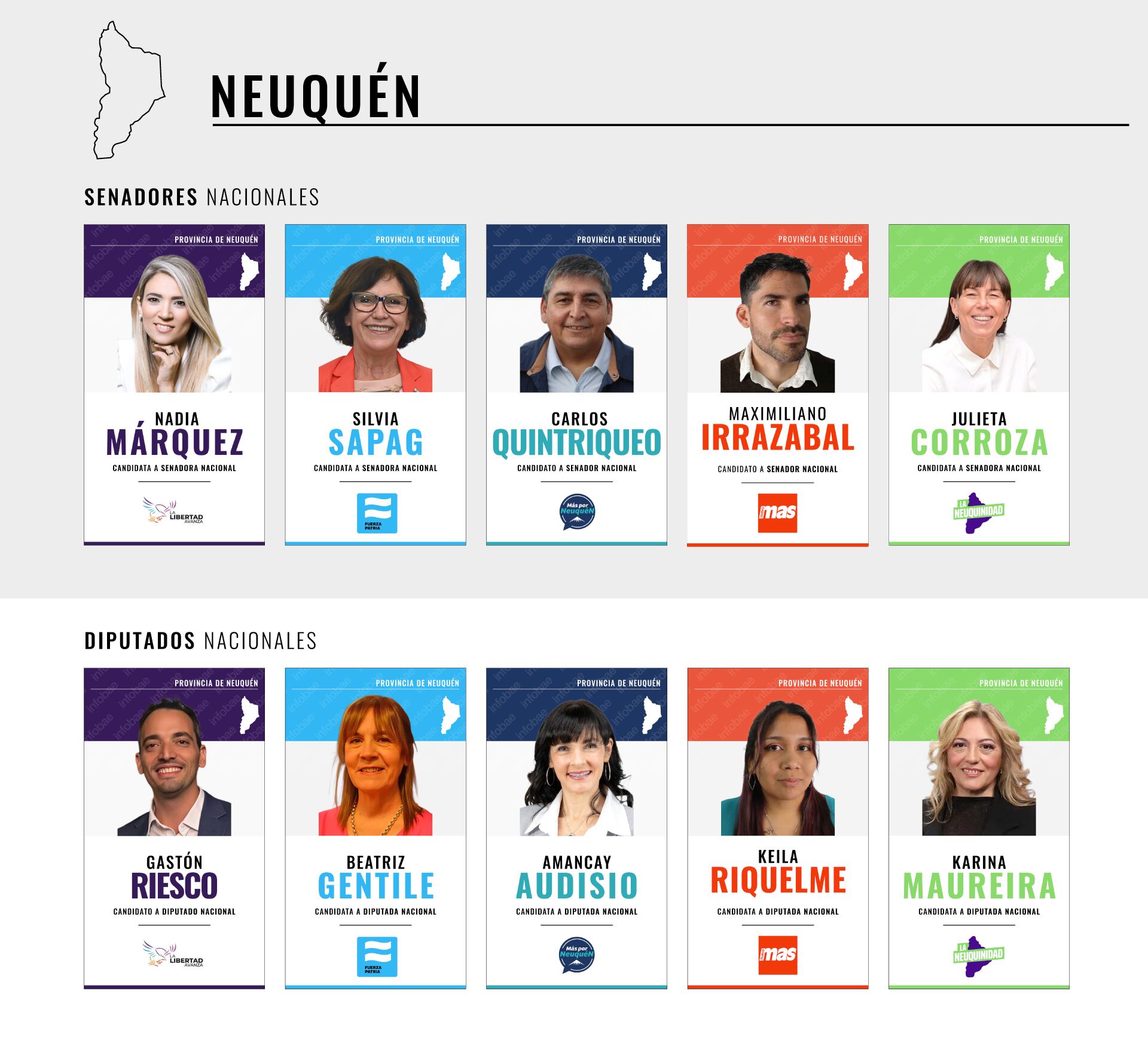Los principales candidatos a senadores y diputados en la provincia de Neuquén