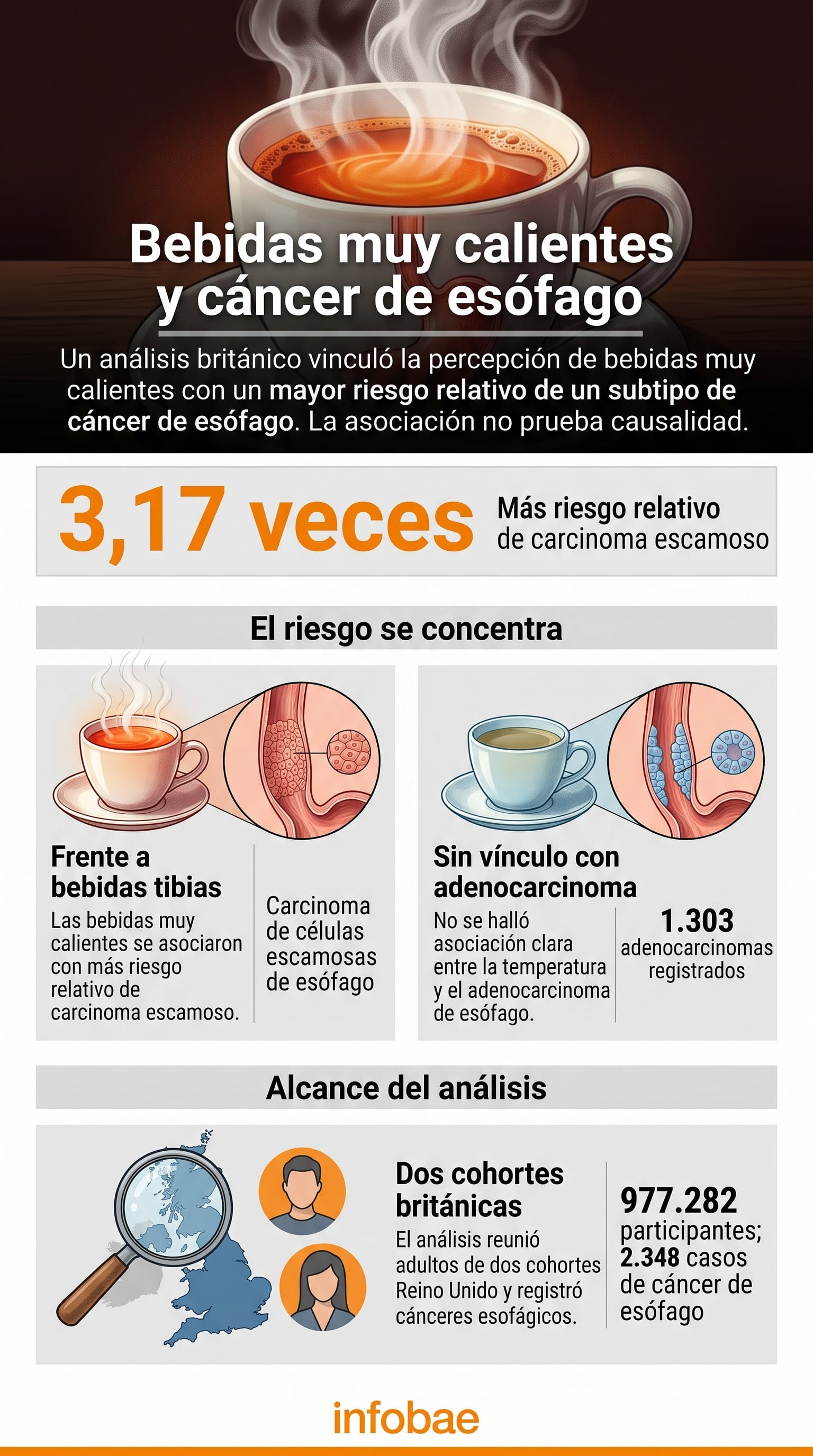 Un análisis británico de 977.282 adultos asocia el consumo de bebidas muy calientes con un riesgo 3,17 veces mayor de sufrir carcinoma escamoso de esófago. (Imagen Ilustrativa Infobae)