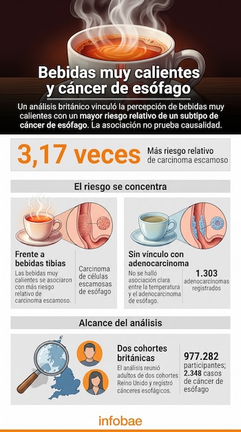 Infografía con ilustraciones de tazas humeantes, esquemas del esófago, un mapa de Reino Unido y datos estadísticos con el logotipo de Infobae.