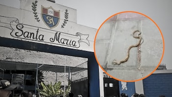 Padres denuncian presencia de culebras en colegio de San Juan de Lurigancho y exigen intervención para proteger a escolares