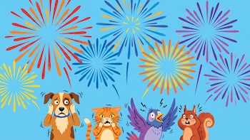 Desde mamíferos hasta aves y especies marinas: el impacto de los fuegos artificiales en los animales