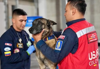 Los perros de Colombia viajan a rescatar en Venezuela - crédito @ungrd_oficial/IG