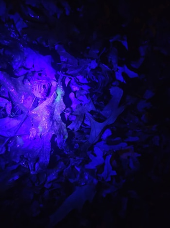 En determinadas condiciones, las zonas