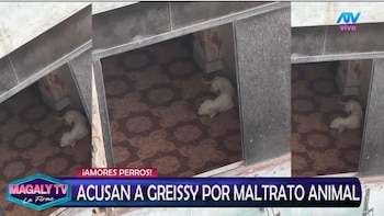 Greissy Ortega enfrenta acusaciones de presunto maltrato animal: vecinos difunden videos y audios. Captura: Magaly TV La Firme.