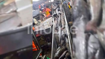 Pesca ilegal: afirman que el