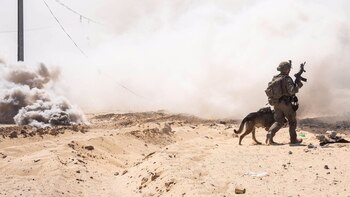 Un tribunal brasileño ordena investigar