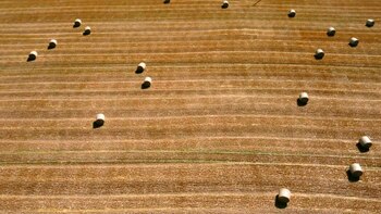 El gobierno británico declaró el