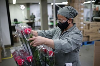 La reforma laboral, tal y