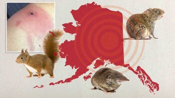 El estado de Alaska reportó