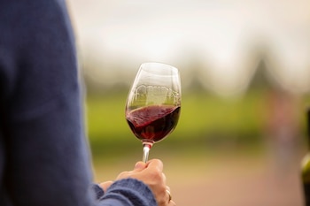 (Crédito: prensa Visit Argentina)