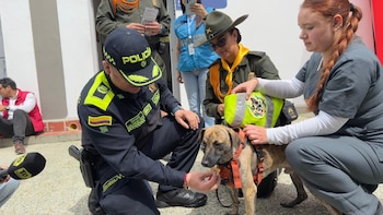 Coronel Bizcocho: con nuevo nombre